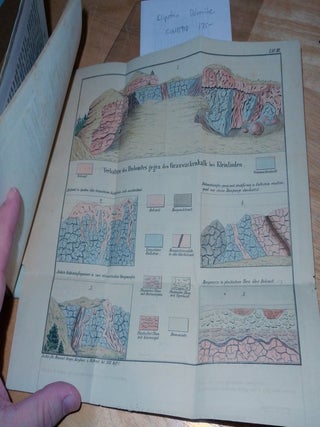 Ueber Dolomite Der Lahngegenden Und Das Mit Denselben in Verbindung Stehende Vorkommen Von Manganerzen