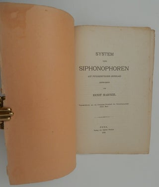System Der Siphonophoren Auf Phylogenetischer Grundlage entworfen