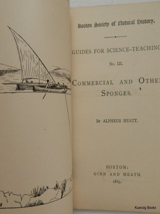 Guides for Science - Teaching No III ... Commercial and Other Sponges