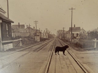 Photographic Views of Lynn, Mass., with Historical Sketches from 1629 to 1879 ; also, A List of Enterprising Business Houses