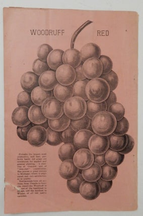 Descriptive Price List of Hardy Grape Vines and Small Fruits for sale by George W. Campbell, Delaware, Ohio