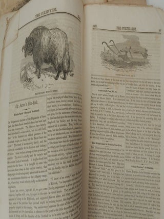 The Cultivator, New Series, Vol. VIII, (Issues Jan, Feb, Mar, June, Aug, Nov, Dec) 1851