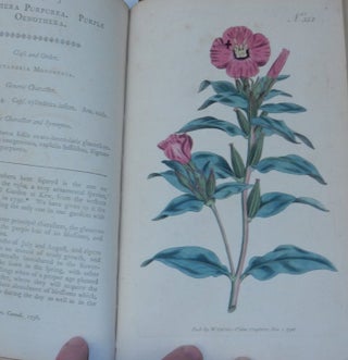 The Botanical Magazine ; or, Flower-Garden Displayed : In which the most Ornamental Foreign Plants, cultivated in the Open Ground, the Green-House, and the Stove, are accurately represented in their natural Colours ... Together with the most approved methods of culture. A Work Intended for the Use of such Ladies, Gentlemen, and Gardeners, as wish to become scientifically acquainted with the Plants they cultivate