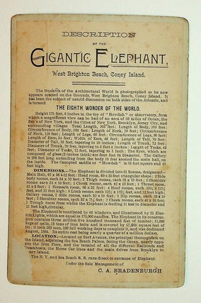 [ Advertising Cabinet Card ] The ELEPHANT BAZAAR ... The Colossus of Architecture ... West Brighton Beach, Coney Island [ NY ]