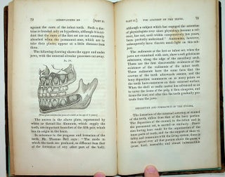Observations on the Structure, Physiology, Anatomy and Diseases of the Teeth ; in Two Parts : Part first by Harvey Burdell ; Part Second by John Burdell with drawings and illustrations