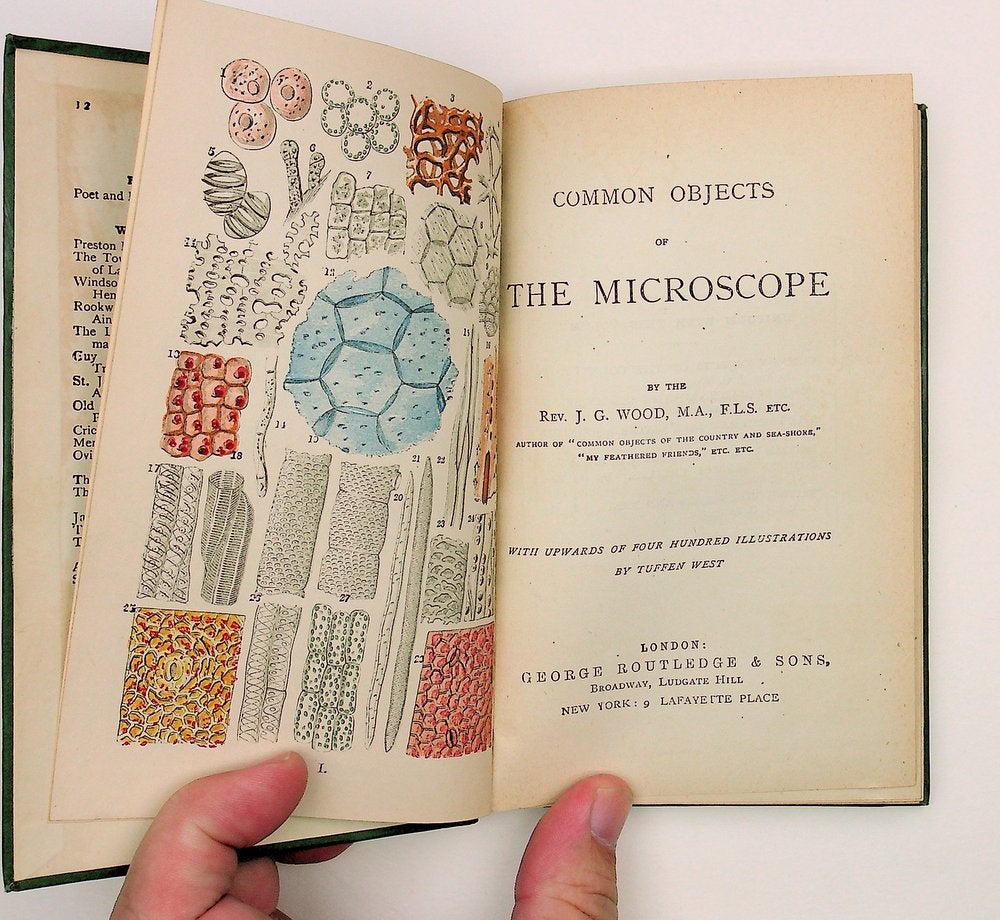 Item #29052 Common Objects of the Microscope. Rev. J. G. Wood.