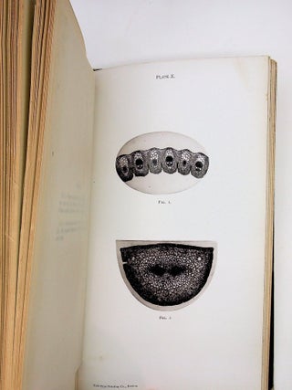 Photo-Micrographs and How to Make Them. Illustrated by Forty-seven Photographs of Microscopic Objects, Photo-Micrographs, Reproduced by the Heliotype Process