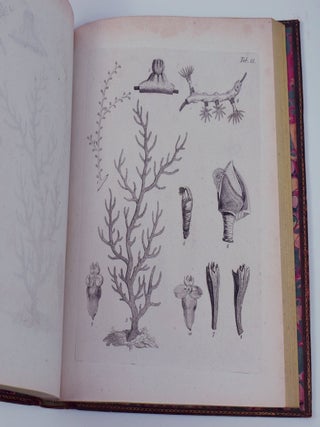 The Natural History of Many Curious and Uncommon Zoophytes, collected from various parts of the Globe
