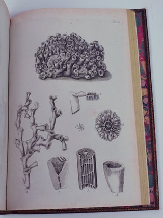 The Natural History of Many Curious and Uncommon Zoophytes, collected from various parts of the Globe