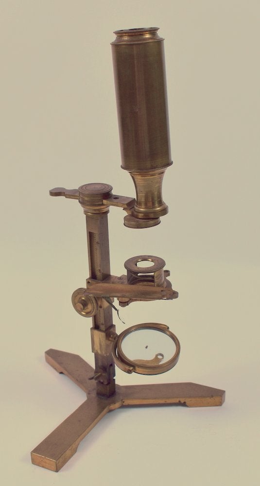 Results for: Microscopy
